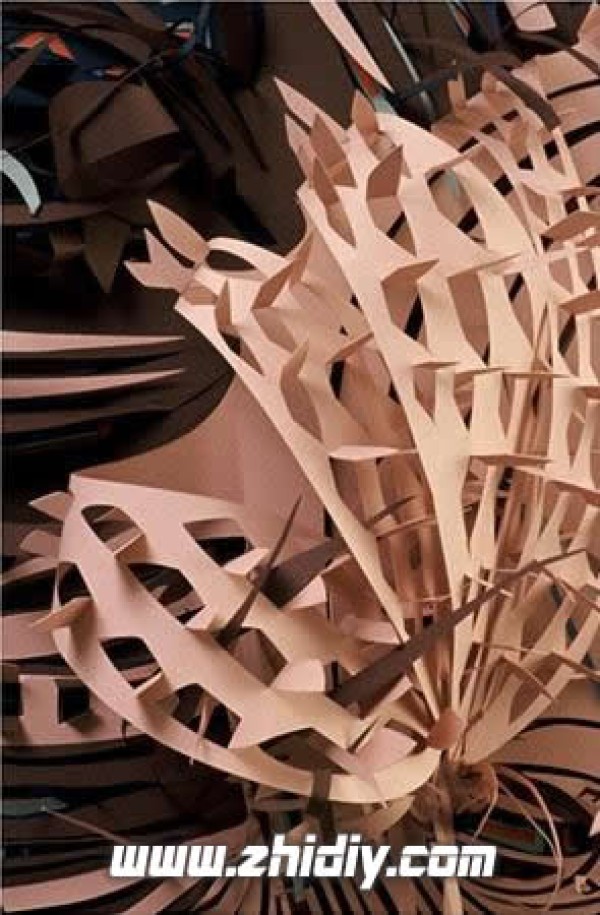 Simone’s reflections on paper sculptures