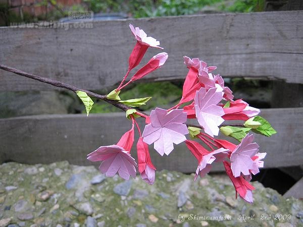 Origami cherry blossoms in Shimizu May