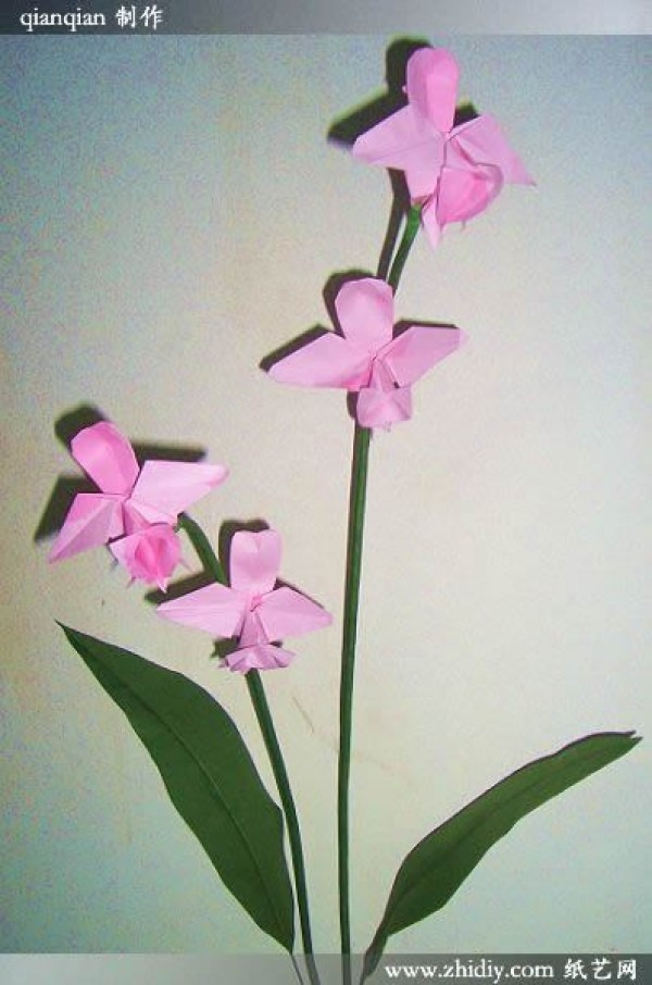 Origami orchid by qianqian