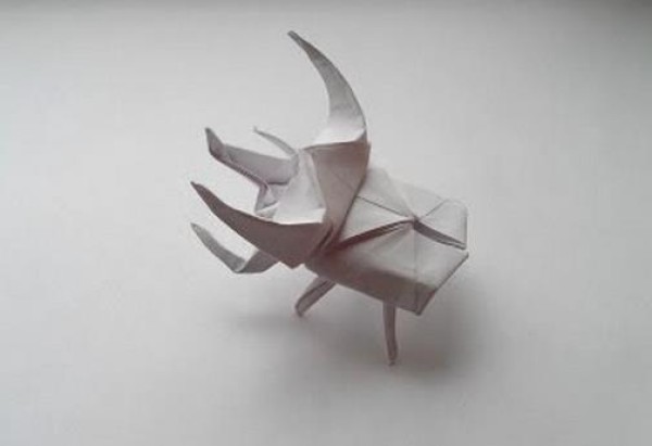 Origami insect origami beetle tutorial