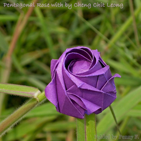 How to fold a paper rose - Illustrated tutorial on how to fold a five-petal origami rose