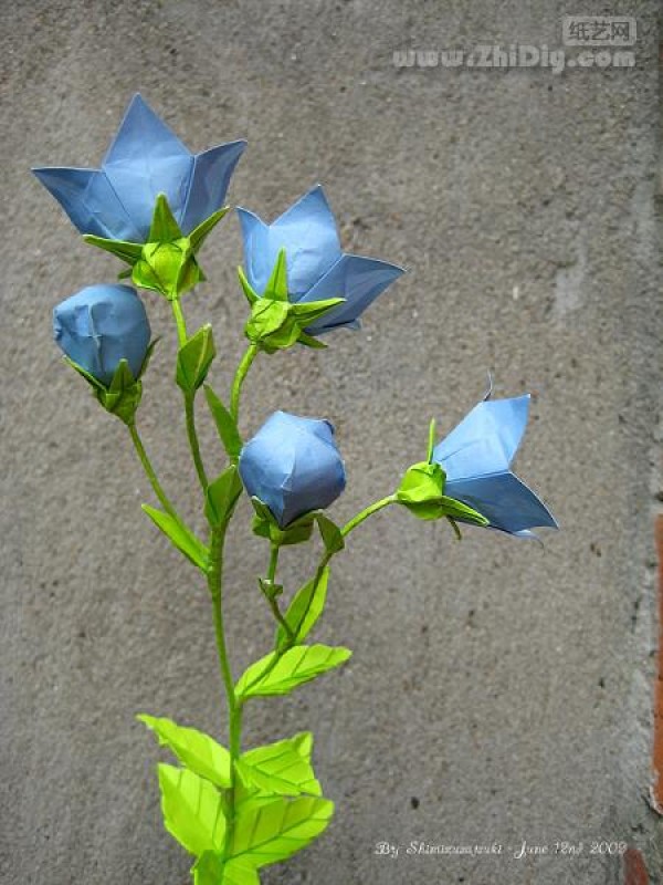 Shimizu Satsuki’s paper art work—“Origami Platycodon·Origami Balloon-Flower”