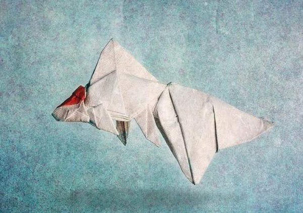 Origami tutorial for red koi carp—Ronald Koh