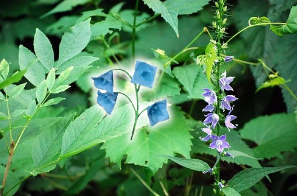 Bluebell Paper Art Flower Tutorial