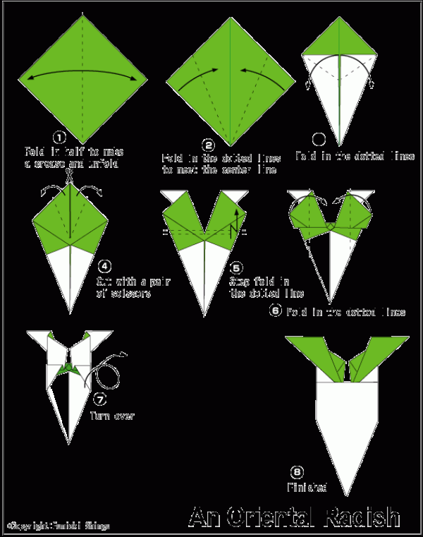 Simple origami tutorial for children to make white radish