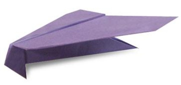 Origami tutorial on how to fold a bird-shaped paper airplane