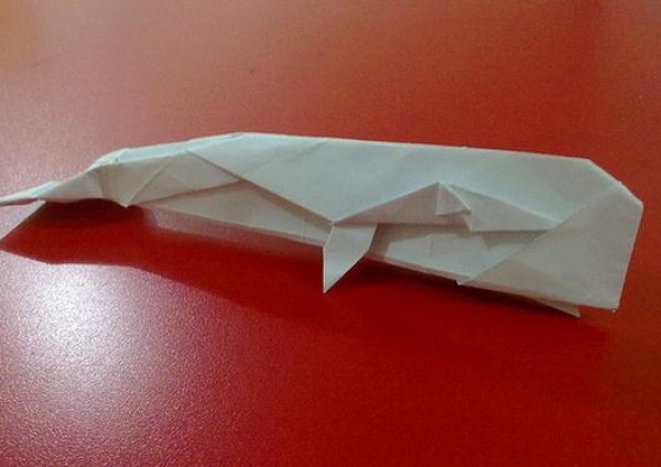 Whale Origami Tutorial—Daniel Naranjo