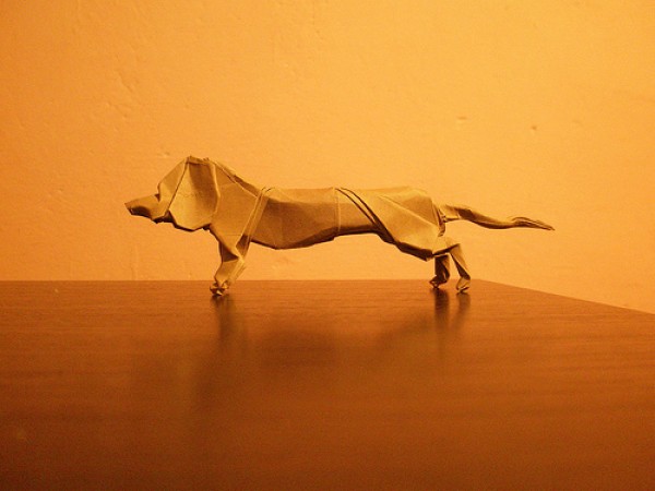 Origami animal appreciation