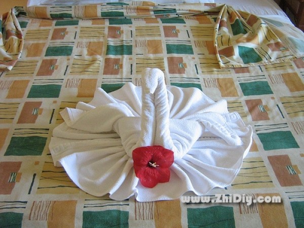 Making origami swan from towel