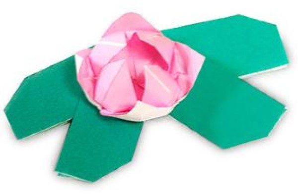 Water lily simple handmade origami tutorial for children