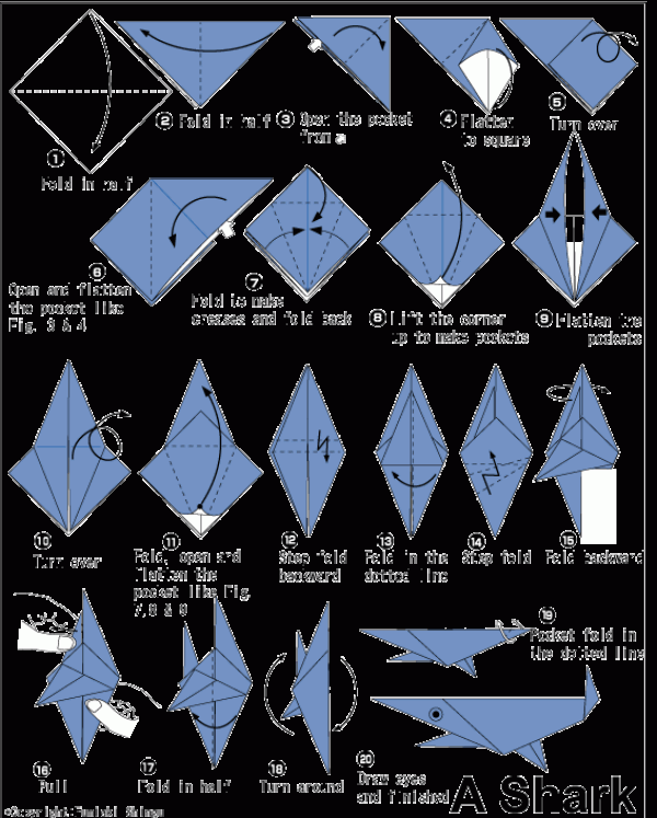 Simple Origami Shark Origami Tutorial for Children