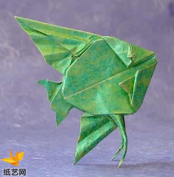 [Ocean Fish Origami Collection] Angelfish Origami Illustrated Tutorial