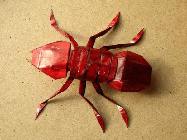 Origami Ant Origami Tutorial—Piotr Pluta