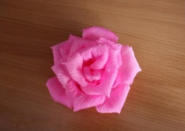 Crepe Paper Paper Flower Making Tutorial