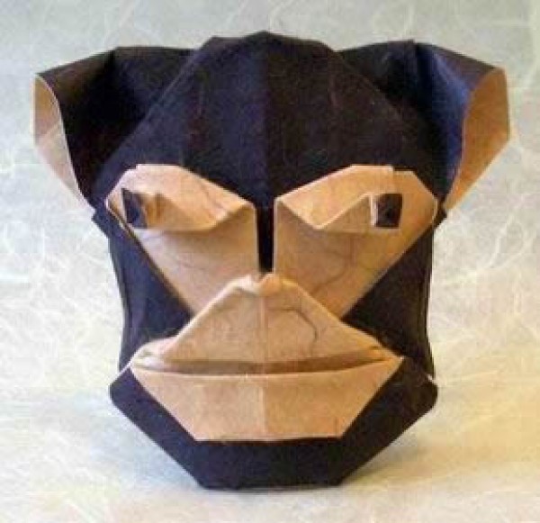 Origami Monkey Face Origami Tutorial—Robin Glynn