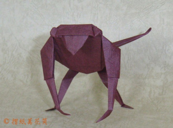 Origami Monkey Origami Tutorial—Robin Glynn