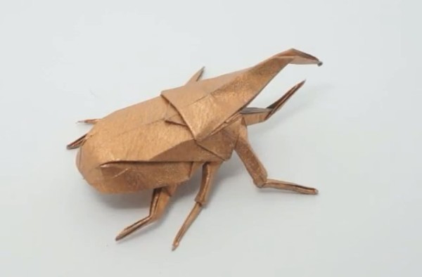 Origami Insects Origami Origami Origami Video Tutorial