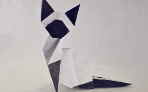 Origami Cat Encyclopedia teaches you origami Siamese cat handmade origami video tutorial