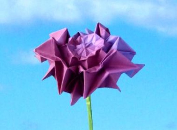 Origami Dahlia Illustrated Tutorial