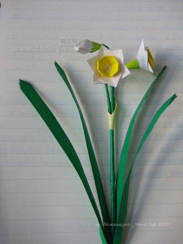 Shimizu May’s origami daffodils