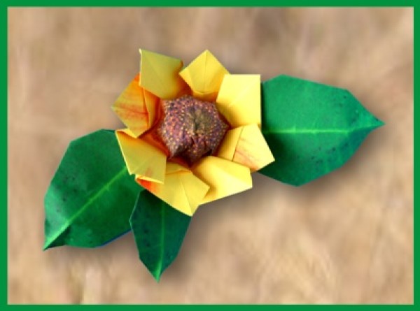 Handmade Origami Sunflower Illustrated Paper Origami Tutorial