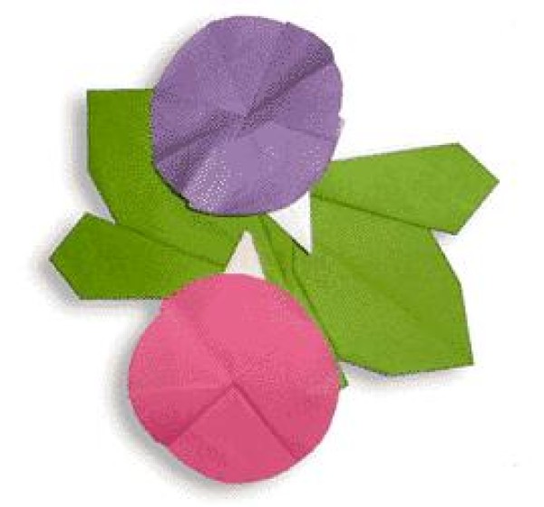 Morning glory childrens simple origami tutorial