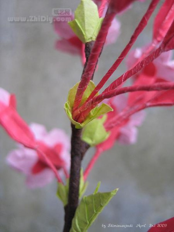 Origami cherry blossoms in Shimizu May