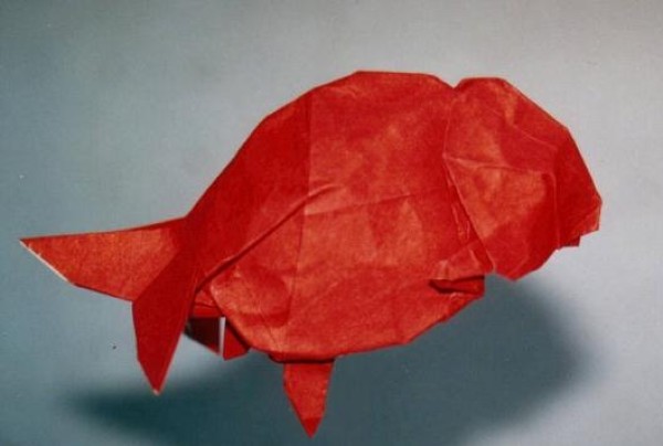 Origami goldfish drawing tutorial teaches you how to make cute origami goldfish