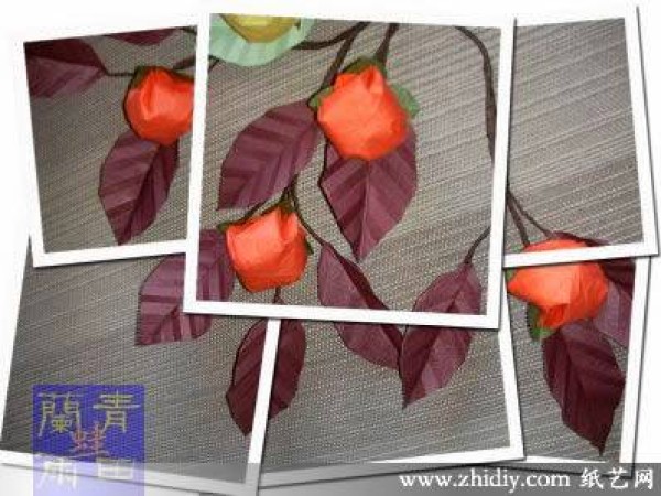 Origami of Qingtian orchid tree frog Fruits of Autumn