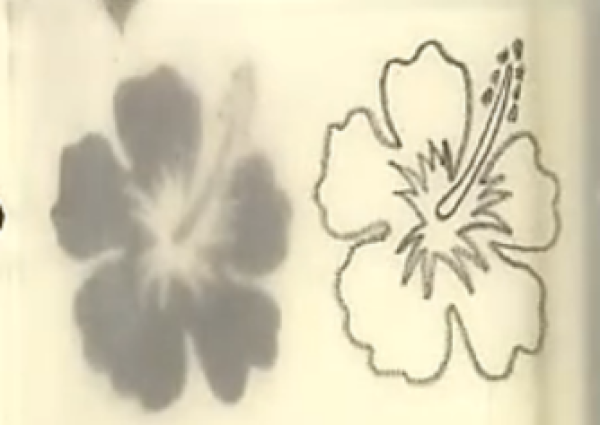 Rubber Stamp Tutorial for Beginners - Flowers