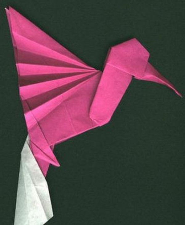 Origami Hummingbird Origami Tutorial—Colin Weber