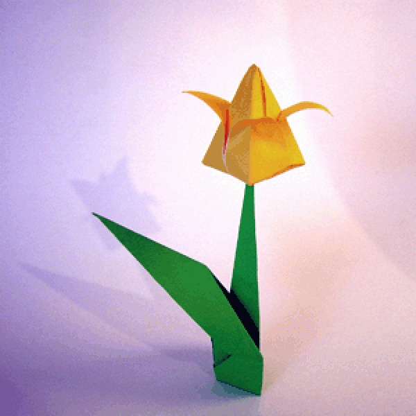 Origami tulip making