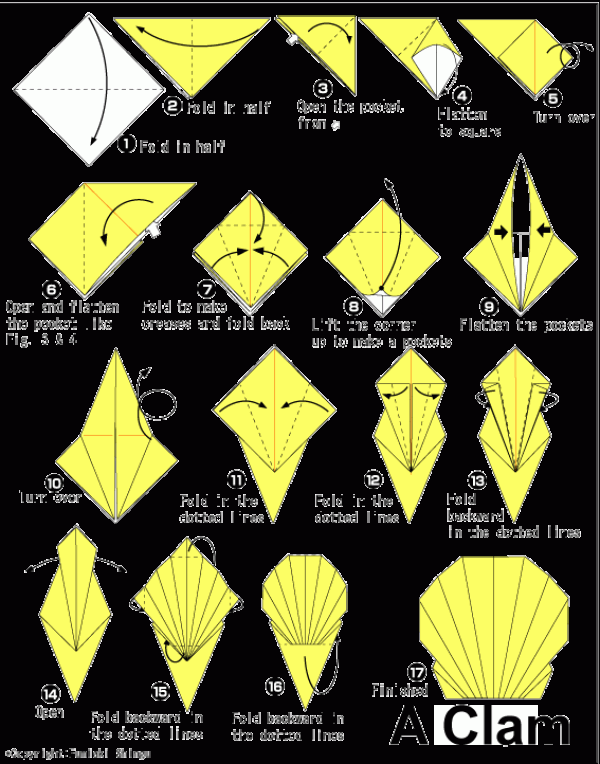 Simple Origami Seashell Origami Tutorial for Children