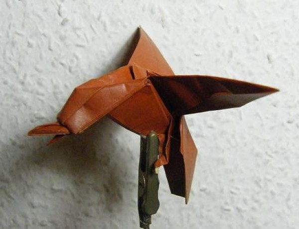 Eagle origami tutorial—Christophe Boudias