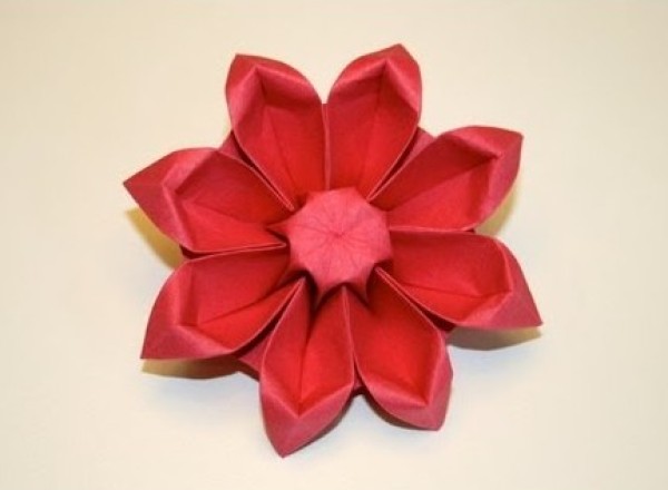 Origami flower encyclopedia will teach you step by step how to make origami gerbera video tutorial