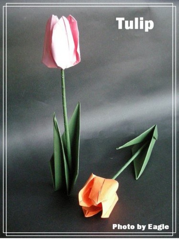 Origami flower tutorial with complete illustrations to teach you how to make origami tulips step by step