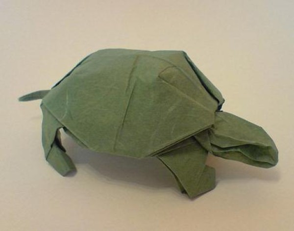 Origami encyclopedia video tutorial teaches you step by step how to make an origami turtle