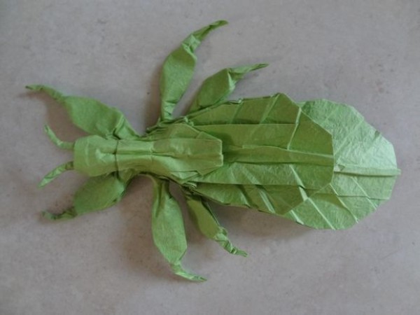 Complete illustration of insect origami - Xiaohongs original origami leaf insect tutorial