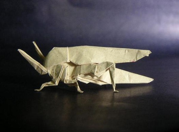 Grasshopper handmade origami tutorial—Anibal Voyer