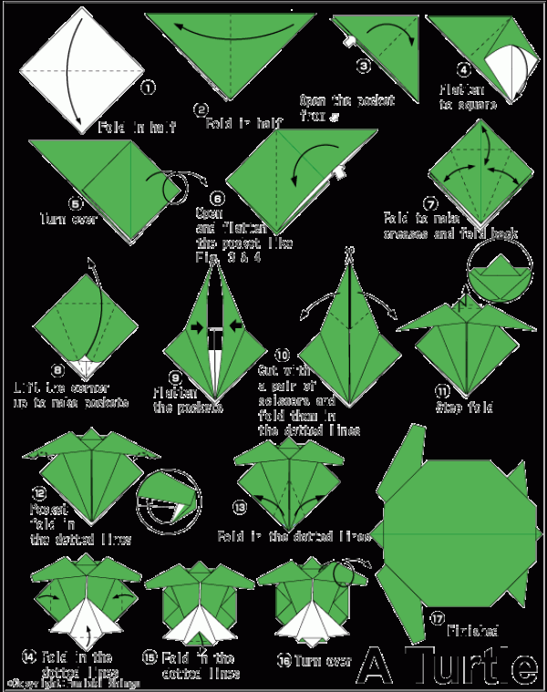 Simple origami turtle origami tutorial for children