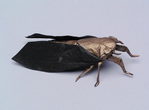 Origami Insect: Seventeen Year Old Cicada Origami Illustrated Tutorial