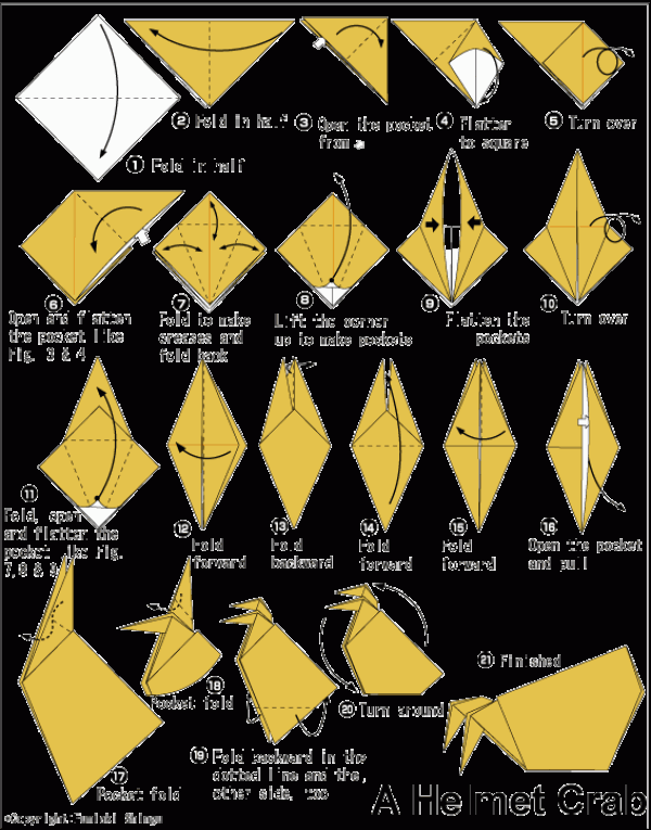 Simple origami hermit crab tutorial for children