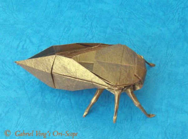 Cicada (Cicada) handmade origami tutorial—Takaaki Kakitsuka