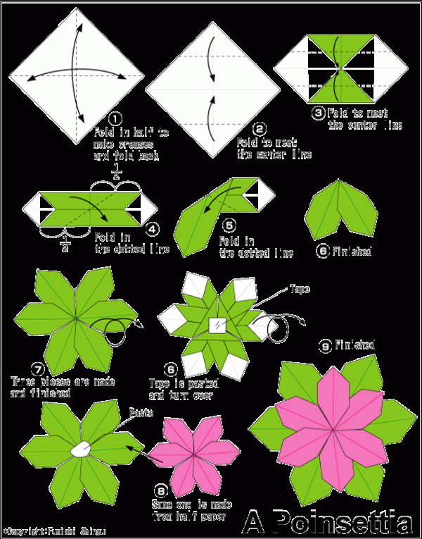 Origami Poinsettia Simple Origami Tutorial for Children