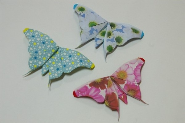 Origami Butterfly Illustration Making Tutorial