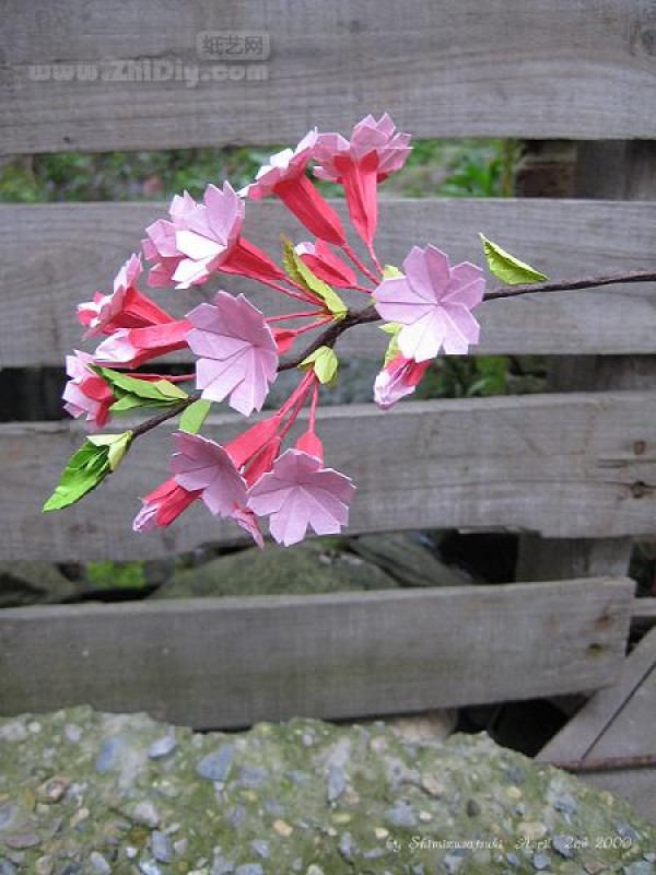 Origami cherry blossoms in Shimizu May