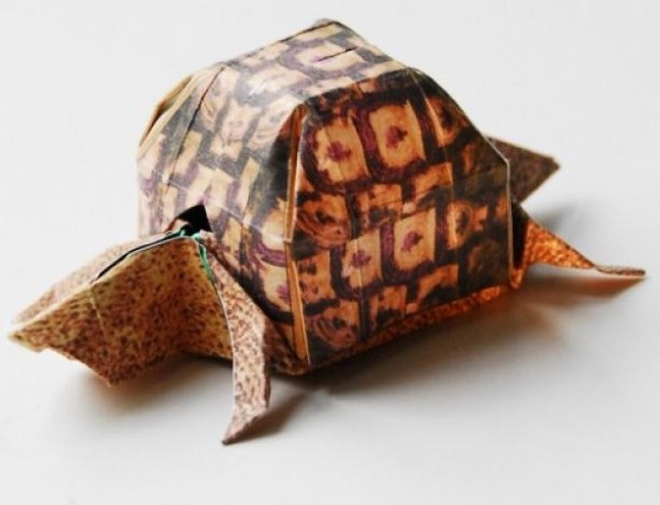 Origami Box Turtle Origami Drawing Tutorial [Animal Origami Atlas]