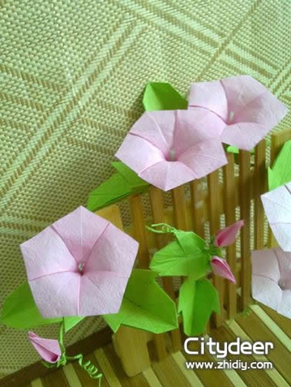 origami morning glory by citydeer