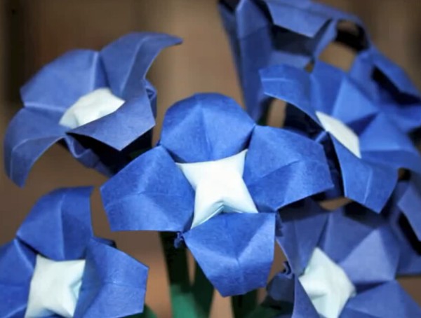 Origami Flower Forget-Me-Not Origami Video Tutorial