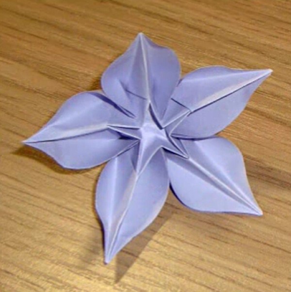 Origami Carambolas_Origami Flower Tutorial Teach You Step by Step How to Fold Carambola Flowers